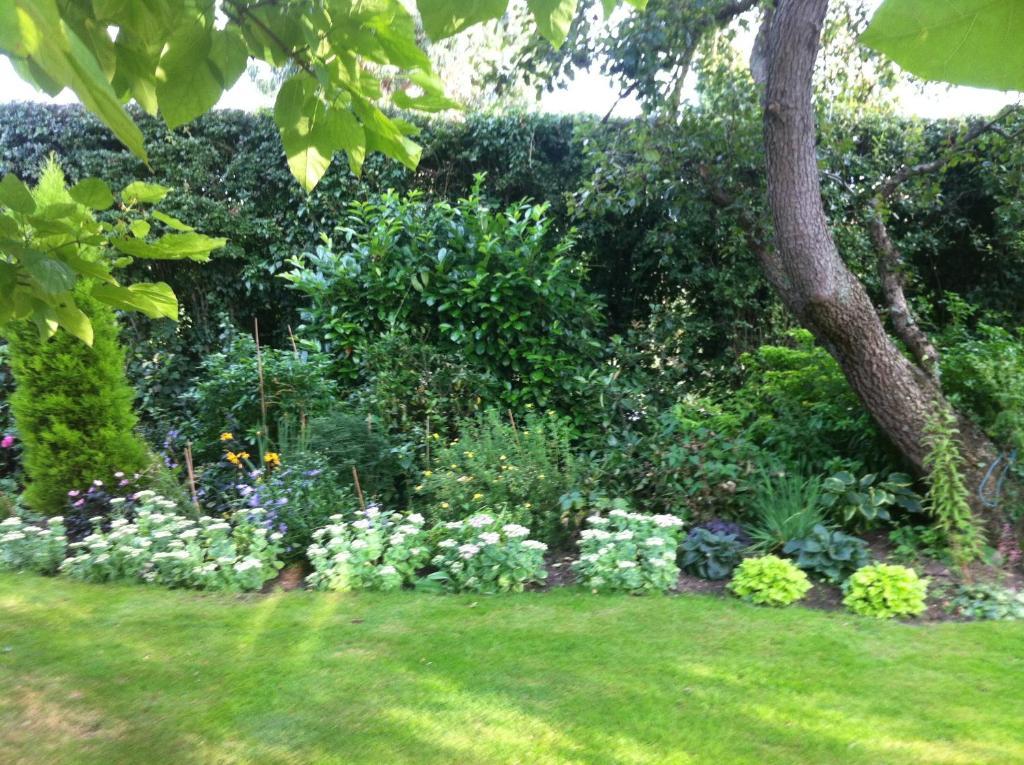 Hotel Bonningtons Stansted Self Catering Stansted Mountfitchet Camera foto